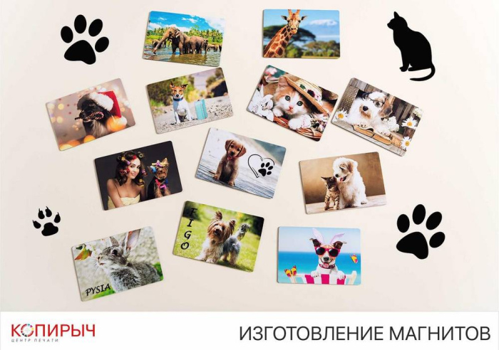 Печать на магнитах в Минске | Изготовление магнитов